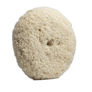 Lake Country White Twisted 100% Wool Pad 8" x 1.5" Quick Disconnect [35-222-QD-LC] - Essenbay Marine