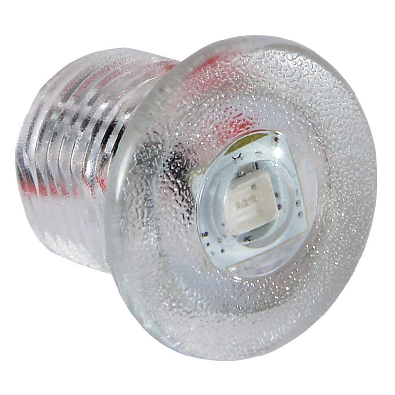 Lumitec Newt - Livewell  Courtesy Light - Warm White Non-Dimming [101240] - Essenbay Marine