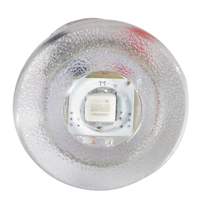 Lumitec Newt - Livewell  Courtesy Light - Warm White Non-Dimming [101240] - Essenbay Marine