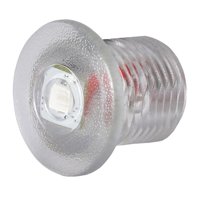 Lumitec Newt - Livewell  Courtesy Light - Warm White Non-Dimming [101240] - Essenbay Marine