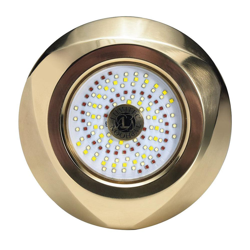 Lumitec Typhoon Underwater Bronze Thru-Hull LED Light - White/Blue [101448] - Essenbay Marine