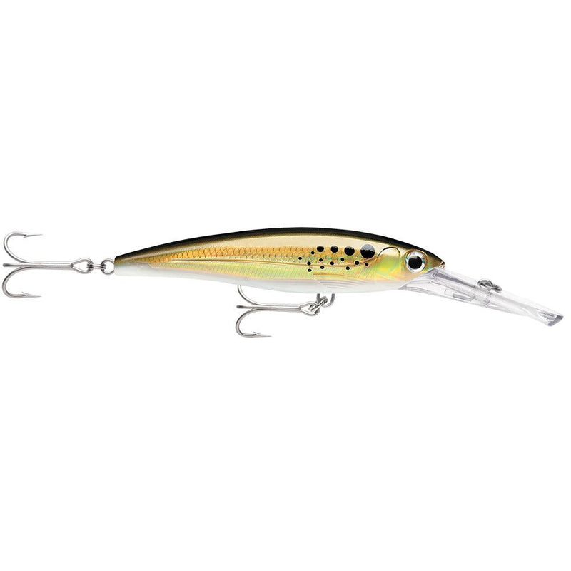 Rapala X-Rap Magnum 15 Bunker [XRMAG15BNK] - Essenbay Marine