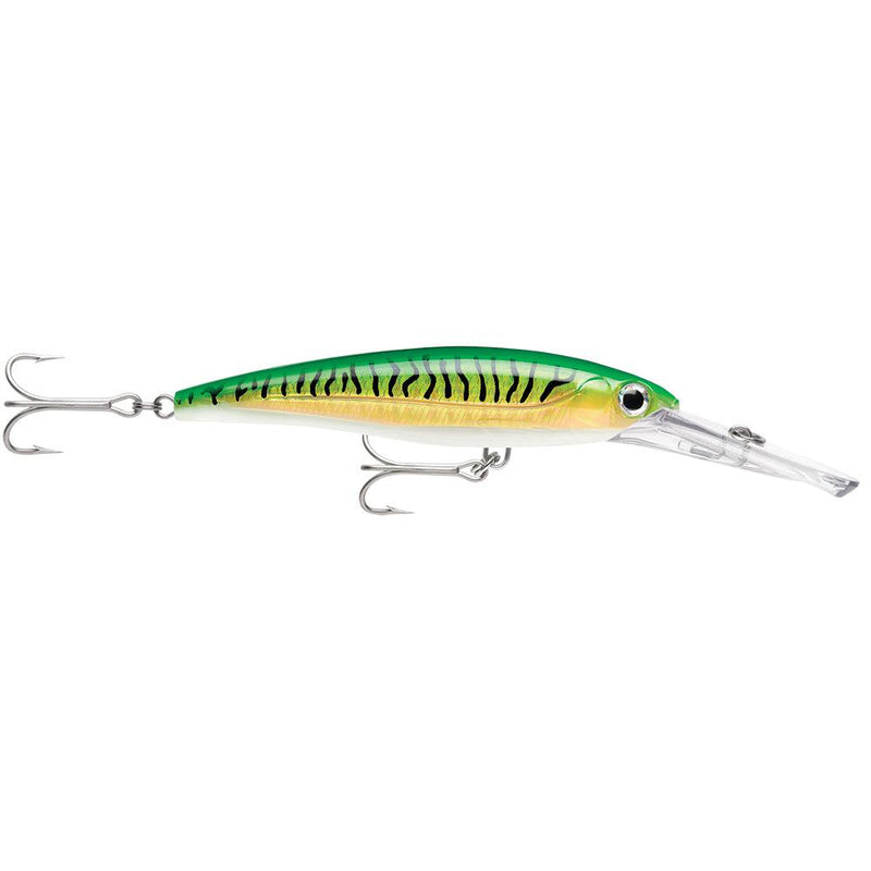 Rapala X-Rap Magnum 15 Gold Green Mackerel [XRMAG15GGM] - Essenbay Marine